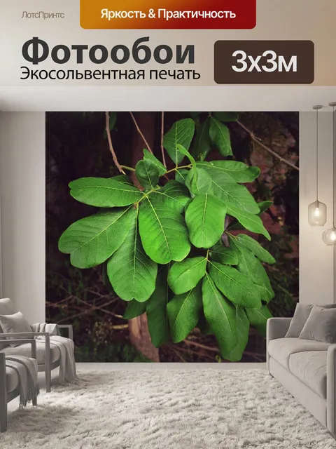 Фотообои Листья