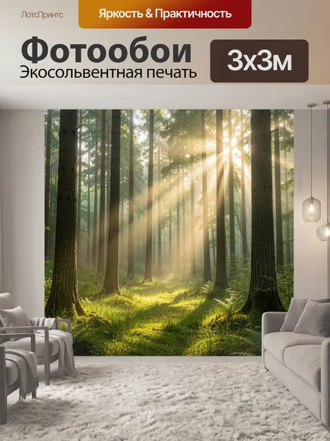Фотообои Солнечные лучи в хвойном лесу