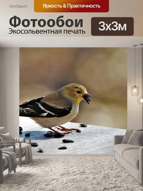 Фотообои Мужской щегол на столе