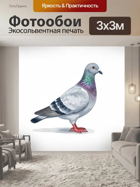 Фотообои Акварельный голубь в профиль