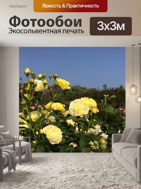 Фотообои Роуз