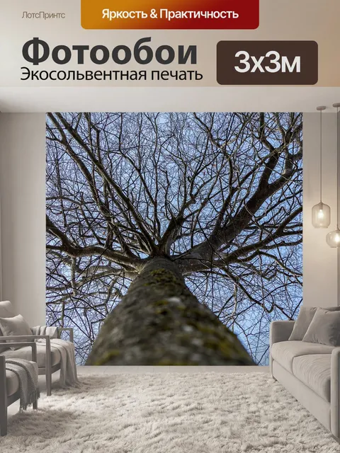 Фотообои Дерево