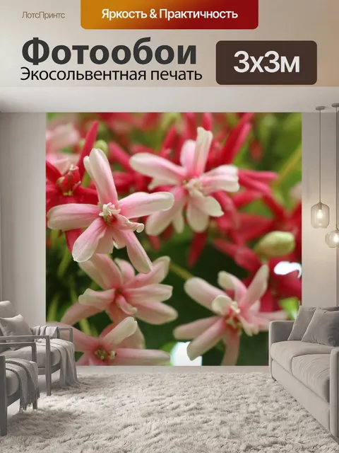 Фотообои Цветы
