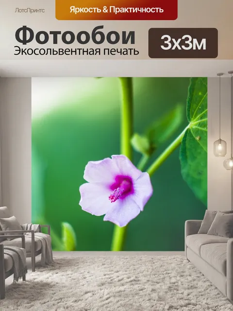 Фотообои Фиолетовый