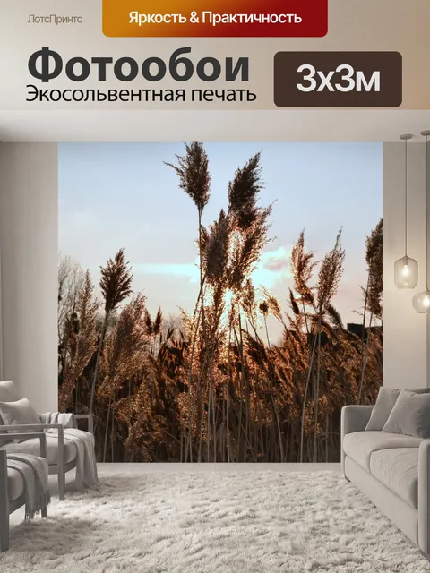 Фотообои Закат