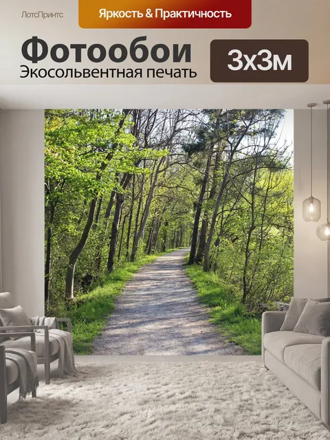 Фотообои Лесная тропа