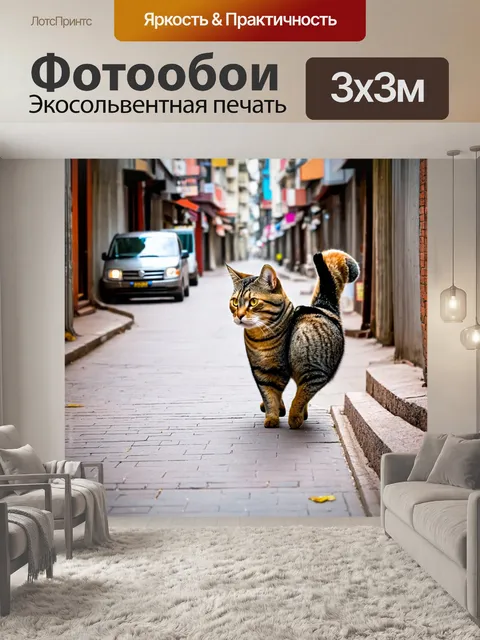 Фотообои коты, прокладывающие свой путь через незнакомый город