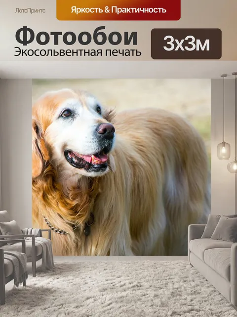 Фотообои Собака
