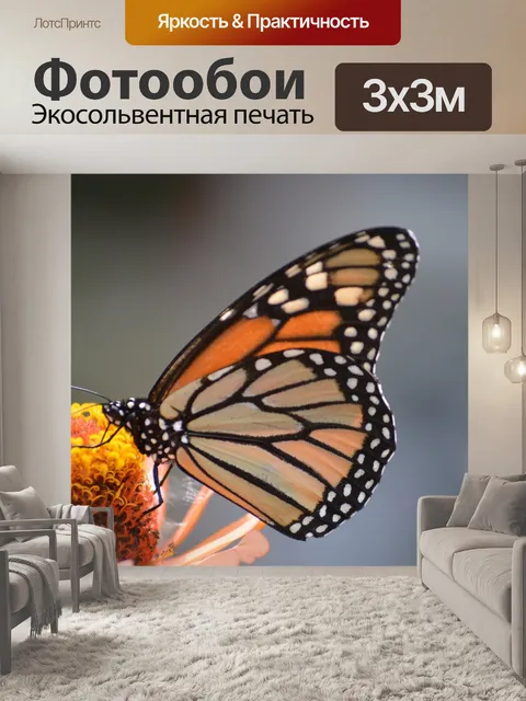 Фотообои Бабочки