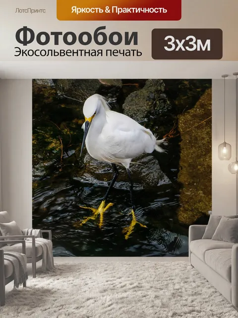 Фотообои Птица