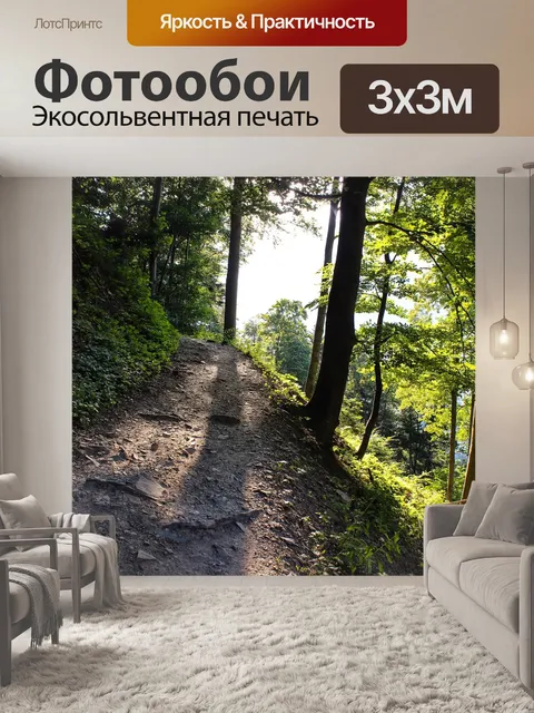 Фотообои Лес