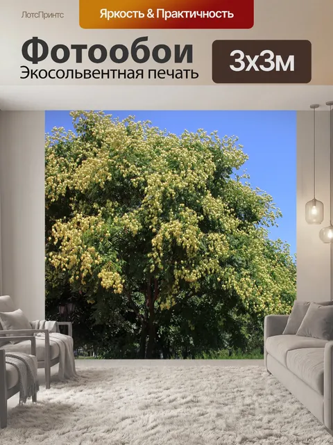 Фотообои Фрукты