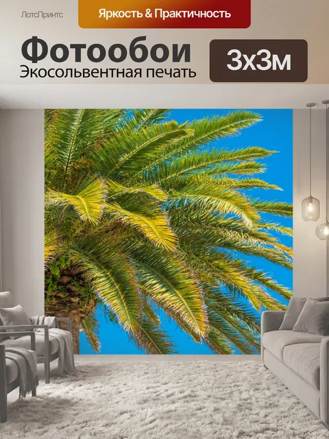 Фотообои Пальмы и голубое небо