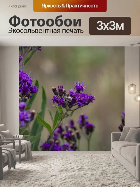 Фотообои Фиолетовые полевые цветы