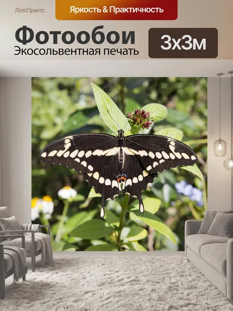 Фотообои Бабочка