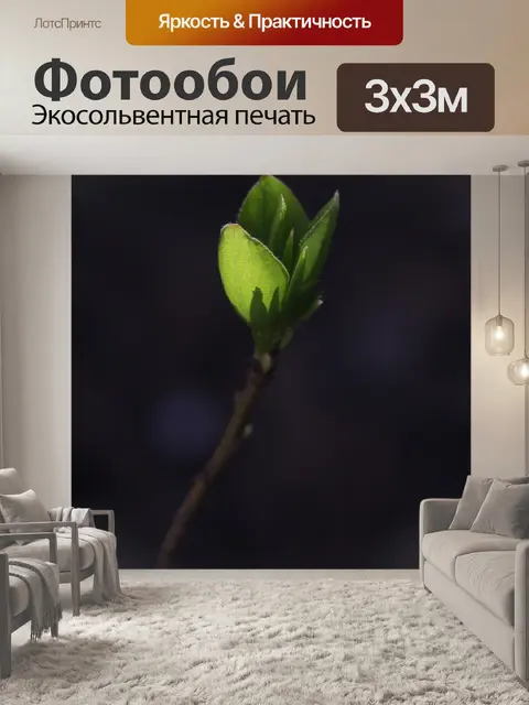 Фотообои Листья