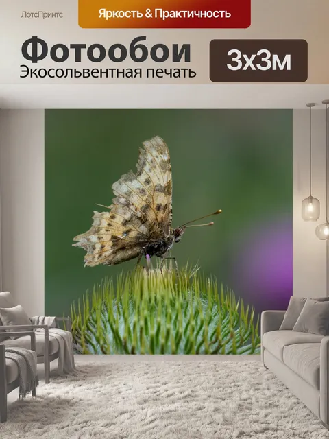Фотообои Бабочка