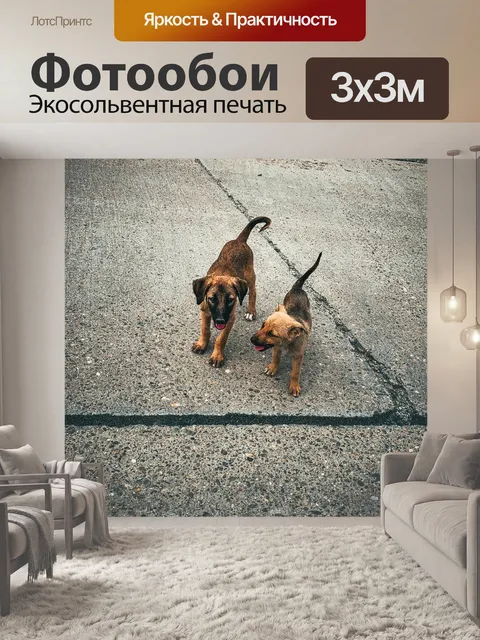 Фотообои Природа