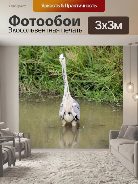 Фотообои Цапля