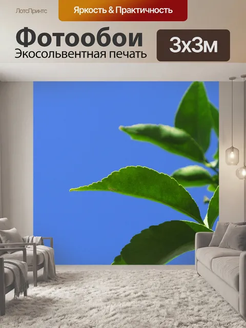 Фотообои Природа