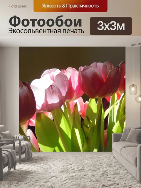Фотообои Тюльпаны