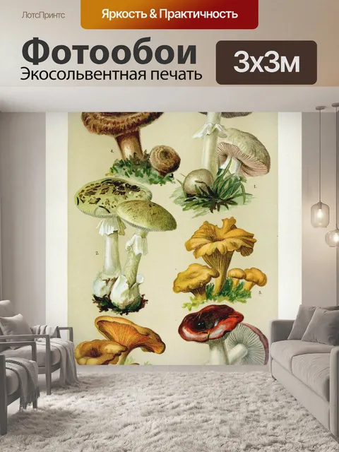 Фотообои Винтажная иллюстрация грибов чемпиона