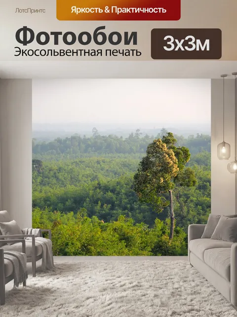 Фотообои Джунгли
