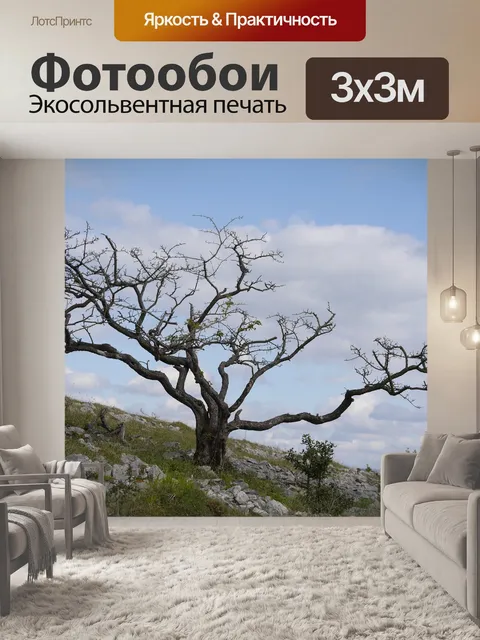 Фотообои Дерево