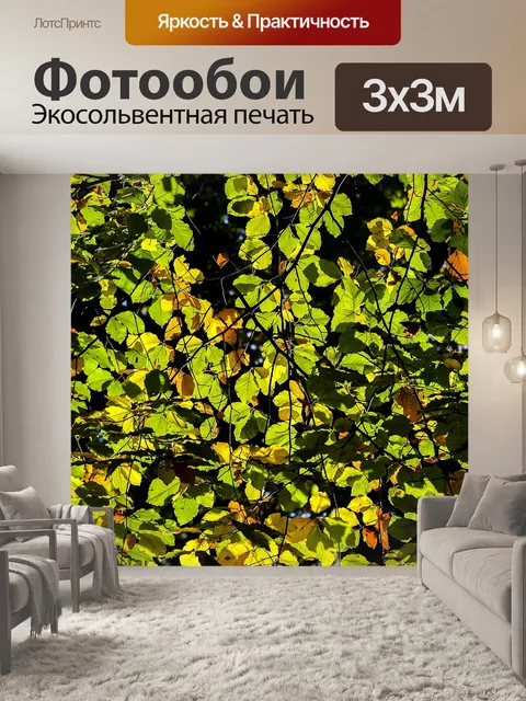 Фотообои Листья
