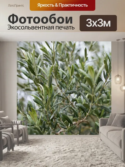 Фотообои Оливковое дерево