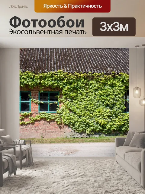 Фотообои Ivy окошками, покрытыми