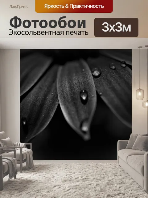 Фотообои Лепестки