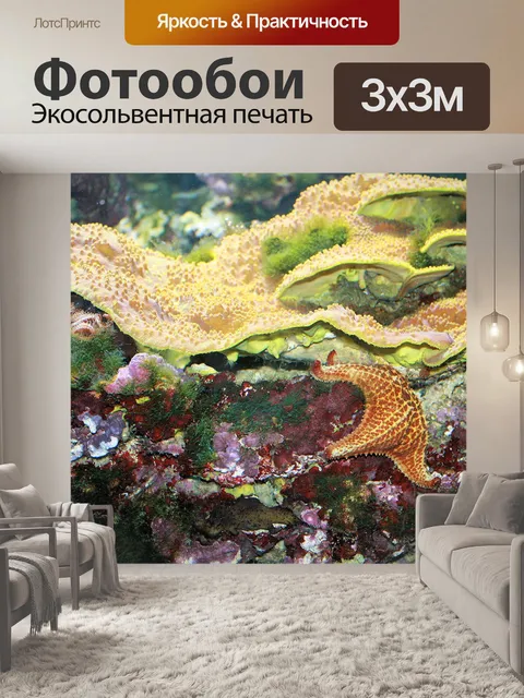 Фотообои Звезда рыб и кораллов