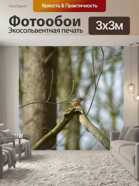 Фотообои Птица