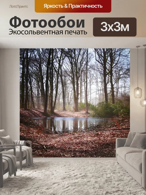 Фотообои Лес