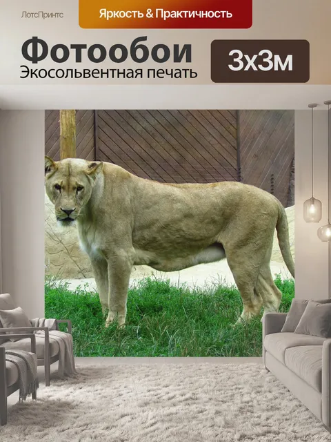 Фотообои Львица