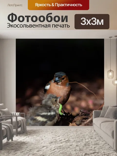 Фотообои Птицы