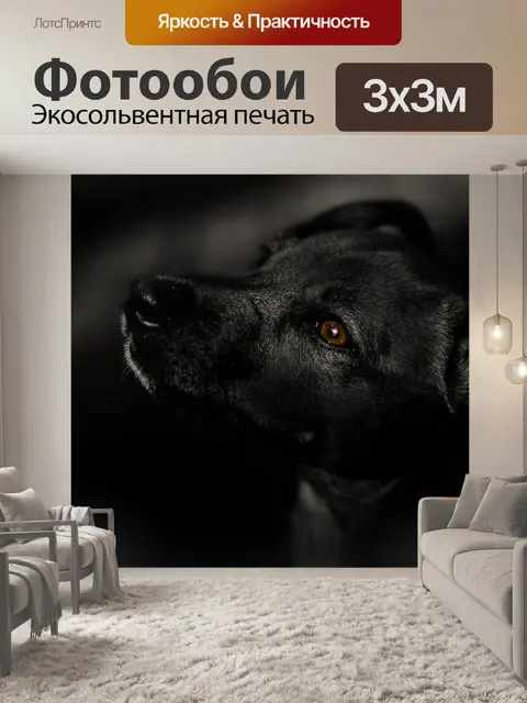 Фотообои Собака