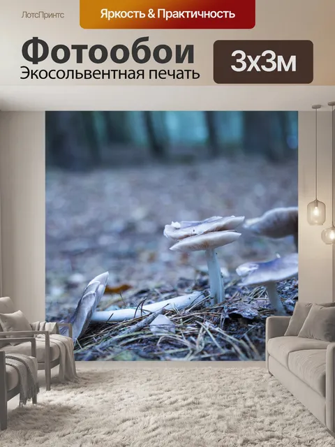 Фотообои грибы