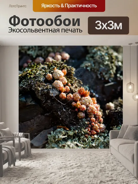 Фотообои Пейзаж