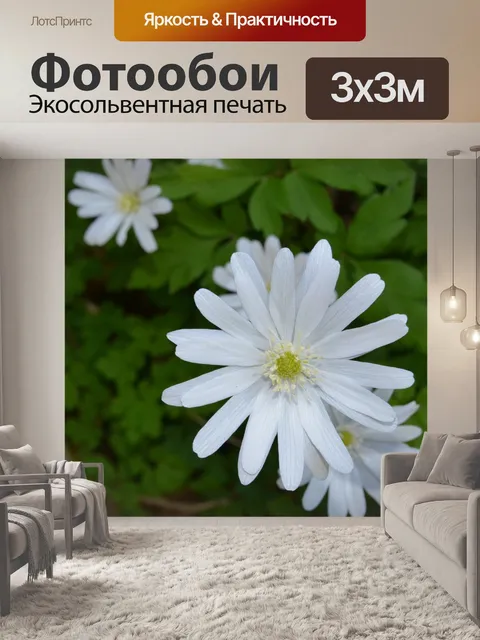 Фотообои Цветы