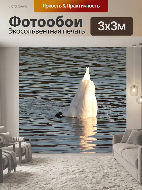 Фотообои Лебедь