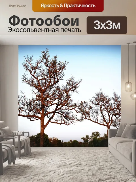 Фотообои Силуэт дерева в природе