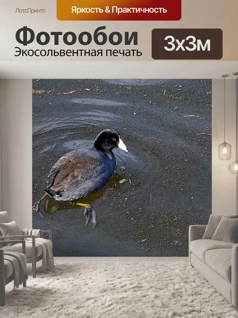 Фотообои Кут Купание в озере