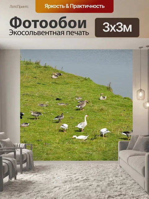 Фотообои Гуси