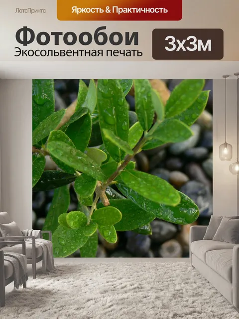 Фотообои Листья