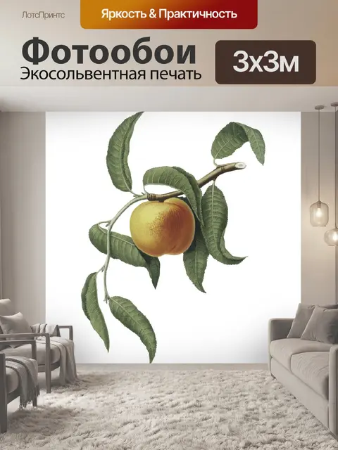 Фотообои Листья