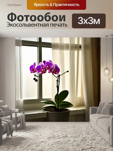 Фотообои с орхидеей, распустившейся на оконном подоконнике в уютной квартире, где солнечные лучи проникают сквозь…