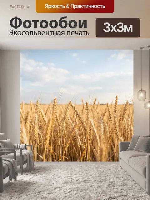 Фотообои Золотое пшеничное поле под небом