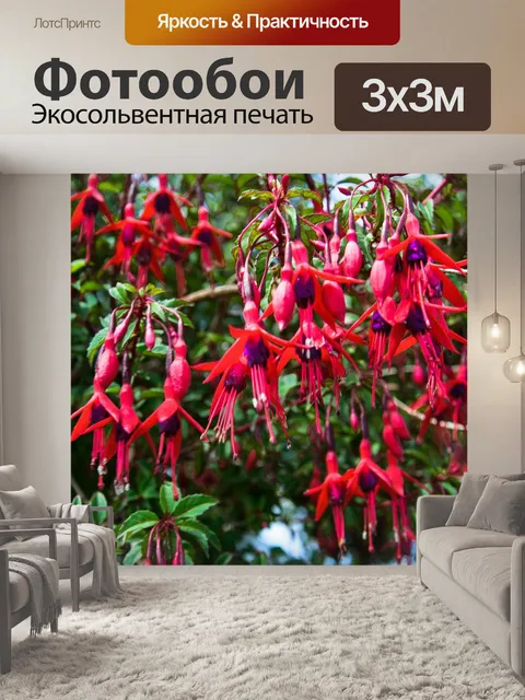 Фотообои Фуксия